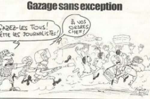 Article : <strong>Terroriser pour régner : un Complot ourdi contre les Journalistes au Togo</strong>